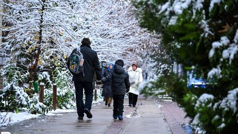 Как семья может попасть в Социальный реестр в Узбекистане