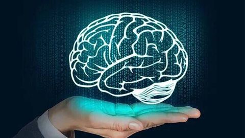 Uzbekistan leads Central Asia, ranks 75th in international IQ test 2026