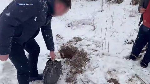 Қашқадарё, Тошкент вилояти ҳамда пойтахтда 20 килодан ортиқ наркотик мусодара қилинди