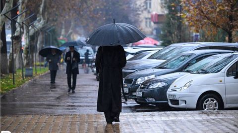 На этой неделе в Узбекистане ожидается дождливая погода