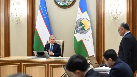 O‘zbekistonda ikki yilda 620 ming gektar yaylov tiklanib, yarmida yaylov oʻsimliklari ekiladi