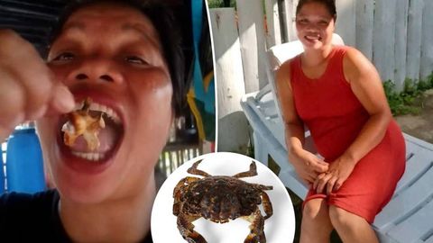 Филиппинда блогер “шайтон қисқичбақа” еб вафот этди