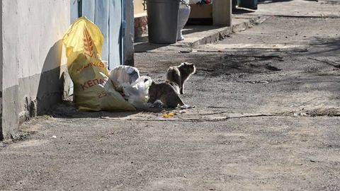 Чиқинди ташиш бўйича фуқароларга асоссиз равишда қарзлар ҳисобланган — Рақобат қўмитаси