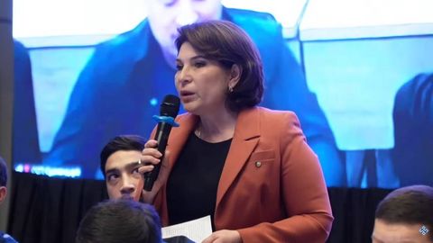 Imported dairy products undercut Uzbek producers, government explores support measures