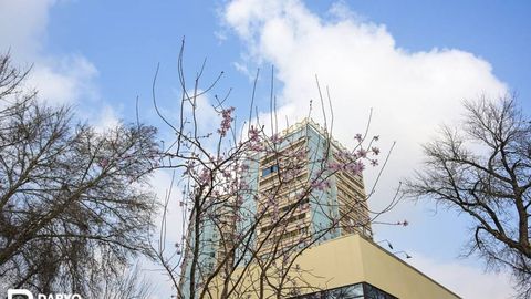 O‘zbekistonda 20-fevral kuni harorat nisbatan pasayadi