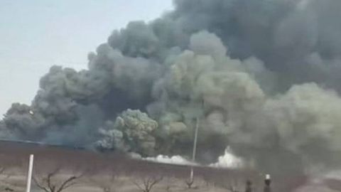 Farg‘onada daraxt ko‘chatlarini saqlash omborida yong‘in chiqdi