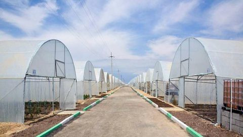 Тошкент вилоятида филтрлари яхши ишламаётган иссиқхона фаолияти тўхтатилди