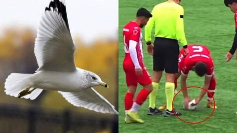 Туркияда футболчи тўп билан уриб туширган чағалайни ҳаётга қайтарди (видео)