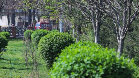 В Ташкенте и на прилегающих территориях в три раза увеличат площадь зеленых зон