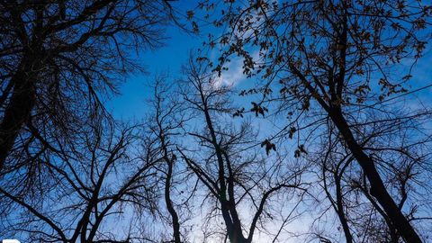 “O‘zgidromet” 27-fevralda qanday ob-havo bo‘lishini e’lon qildi