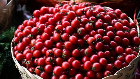 Куда Узбекистан экспортировал больше всего помидоров в 2025 году