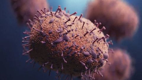 Испанияда чўчқа гриппининг одамдан одамга юқиши гумон қилинмоқда