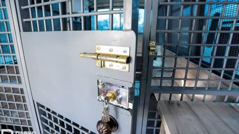 Тошкентда ЙПХ инспекторини BMW’да уриб кетган ўқувчи қамоққа олинди