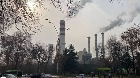 Предприятиям в Узбекистане предоставят льготы за заботу об экологии