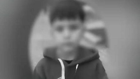 В Ангрене 8-летний мальчик погиб после нападения бродячих собак