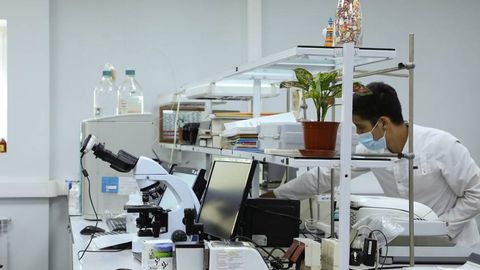 O‘zbekistonda Milliy biofarmatsevtika ilmiy-tadqiqot instituti tashkil etiladi