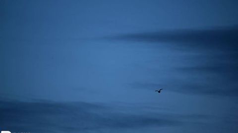 В Узбекистане ожидается ухудшение качества воздуха из-за температурной инверсии