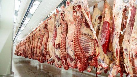 Kazakhstan links high meat prices to strong exports to Uzbekistan