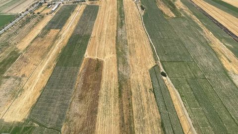 Қашқадарёда чорвачилик ва озуқа базасини кенгайтириш учун 200 минг гектар ер ўзлаштирилади