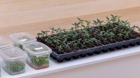 Узбекистан планирует увеличить экспорт химпрома до $720 млн