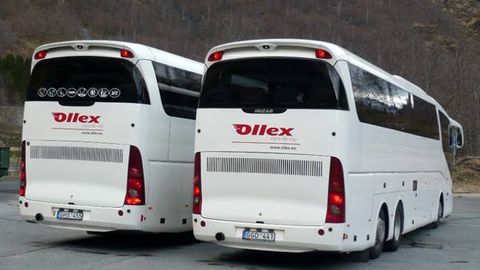 Lithuania’s Ollex plans bus services in Uzbekistan’s Surkhandarya region