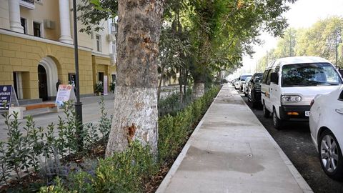 Словенские специалисты помогут защитить растения в Узбекистане от засыхания