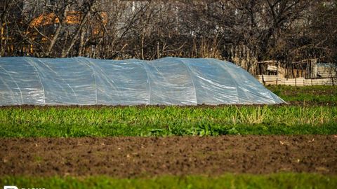 Чем будет заниматься новая Узбекская академия сельхоз наук