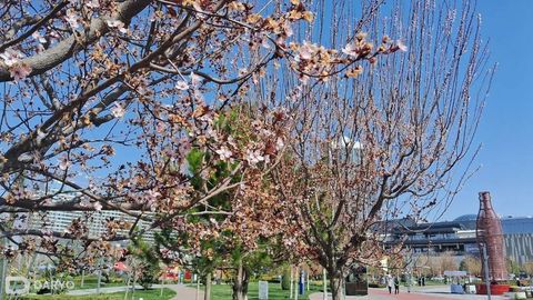 В Узбекистане создадут новые ботанические сады и дендропарки