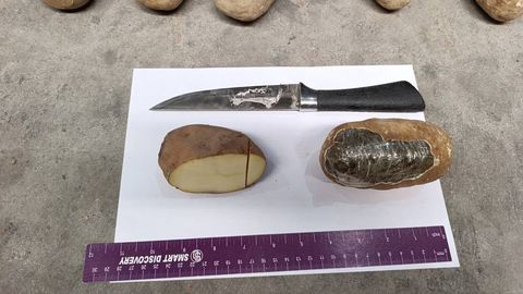 В Узбекистан из Афганистана пытались провезти более 70 кг наркотиков под видом картошки