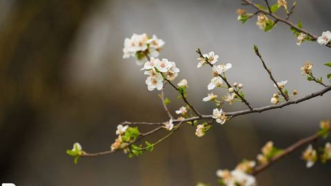 На этой неделе в Узбекистане возможно потепление до 32 градусов