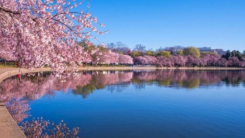 Uzbekistan to launch National Dendrological Park in Tashkent