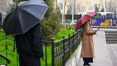 O‘zbekistonda 26-mart kuni ayrim joylarda yomg‘ir yog‘adi