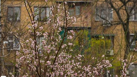 Ўзбекистонда 27 март куни қандай об-ҳаво кутилаётгани маълум қилинди