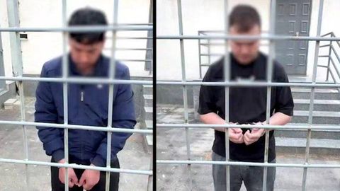 В Ташкентской области арестовали мужчин, истязавших кошек