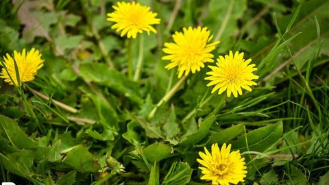 O‘zbekistonda dam olish kunlari qisqa muddatli yomg‘ir yog‘adi