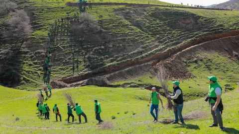 Uzbekistan to reward citizens for tree planting and green initiatives