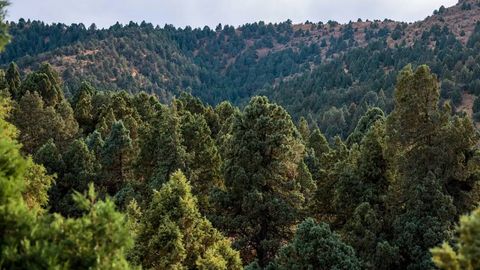 O‘zbekiston milliy tabiiy meros obyektlari hududida qurilish ishlari uchun talablar belgilandi