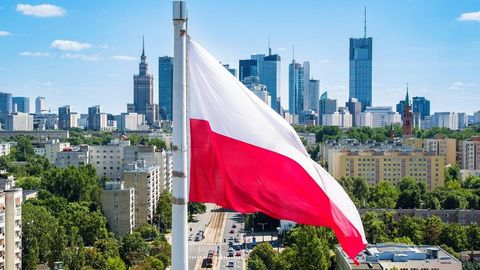 Логистика, промышленность, строительство — Польша приглашает узбекистанцев на работу