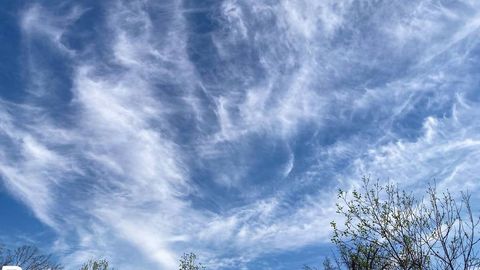 O‘zbekistonda bu hafta iliq ob-havo bo‘ladi, ayrim joylarda yomg‘ir yog‘adi 