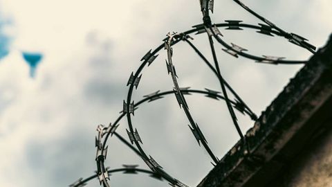 В Узбекистане осужденную молодежь обучат профессиям и языкам