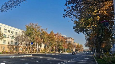 Ўзбекистонда давлат органлари ходимлари айрим кунларда хизмат автомобилидан фойдаланиши тақиқланади