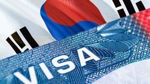 Жиззахда Кореяга ишга юборишни ваъда қилиб, 65 млн сўм олган шахс ушланди