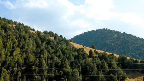 Тошкент ва Фарғона вилоятларида 3 та янги миллий табиат боғлари ташкил этилади