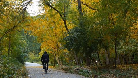 В Ботаническом саду в Ташкенте запретили езду на велосипедах и самокатах
