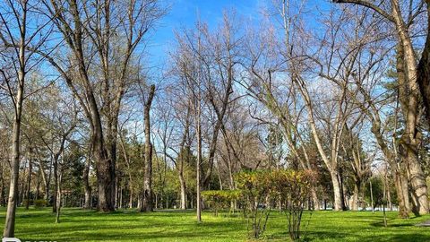 O‘zbekistonda “Toza havo” umummilliy loyihasi ishga tushiriladi