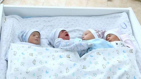 В семье сотрудника ГУВД Ташкентской области родились четверняшки