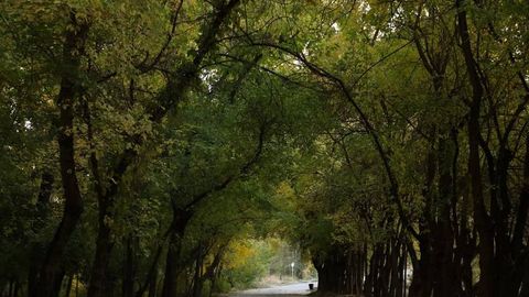 Uzbekistan advances “Green Nation” initiative with Tashkent dendrological park