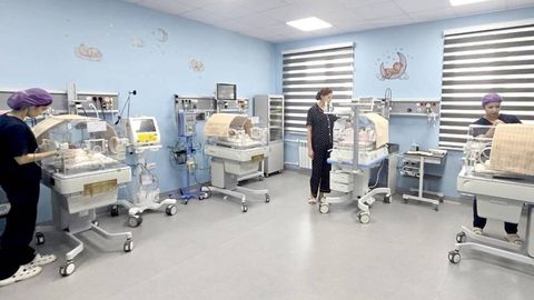 Тошкент вилоятида тўрт эгизак дунёга келди