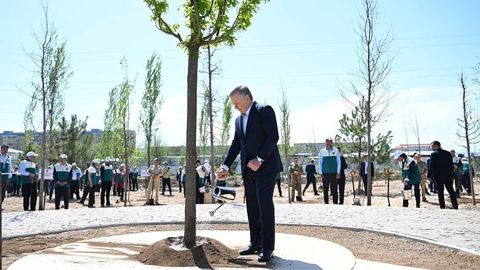 Uzbekistan boosts green coverage to 14.2%, targets 30% by 2030