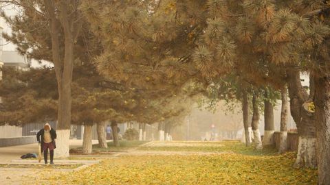 Uzbekistan rolls out bi-monthly car-free days and emissions reduction measures